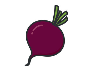 Beetroot illustration. Vegetable, farming and harvest symbol. Natural organic food. Isolated vector image