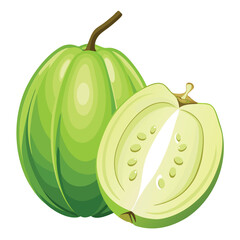 Fresh and juicy green guava fruit vector illustration showing whole and a half cut