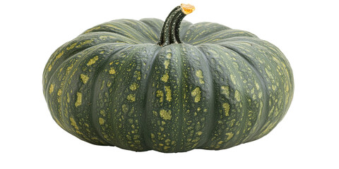 Green pumpkin with yellow spots and stem isolated on white transparent background