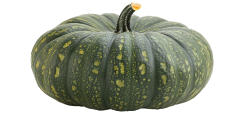 Green pumpkin with yellow spots and stem isolated on white transparent background