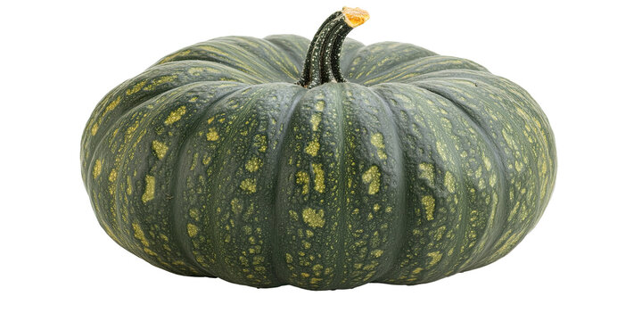 Green pumpkin with yellow spots and stem isolated on white transparent background - Powered by Adobe