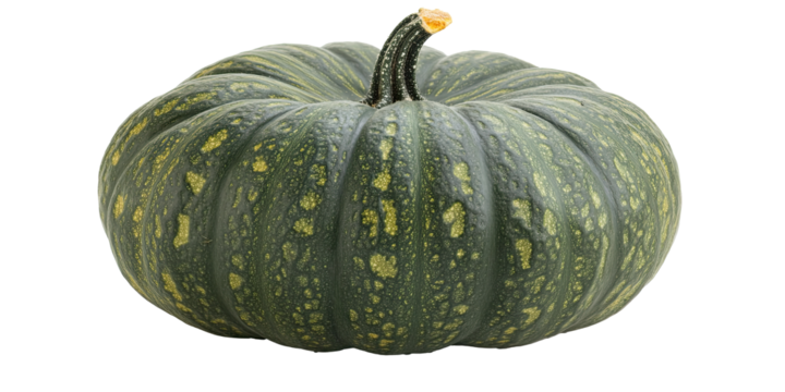 Green pumpkin with yellow spots and stem isolated on white transparent background