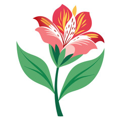 vector illustration of lily