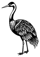 Obraz premium heron vector illustrator black