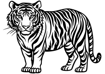 Obraz premium vector illustration of a tiger