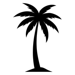 silhouette of palm tree