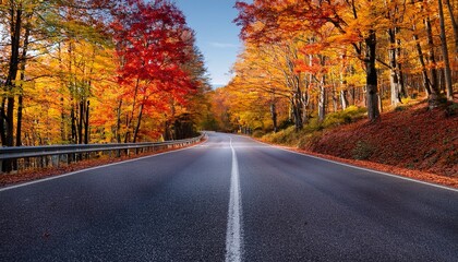road through woods with brightly colored autumn leaves on the trees