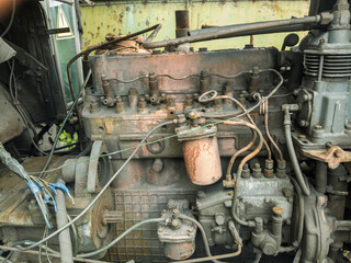 Old, rust-eaten trucks rest on a weed-choked wasteland, definitively out of service.