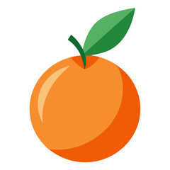 Minimal Longan Fruit Vector Illustration