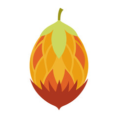 Minimal Rambutan Fruit Vector Illustration