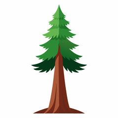 Clean Redwood Tree Clipart Graphic
