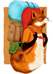 Adventurous Fox Backpacking cartoon