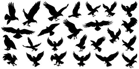 Eagle Silhouette Set, Black Eagle Silhouette Collection, Vector 