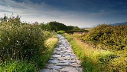 stone pathway leading through grass and bushes in rural landscape