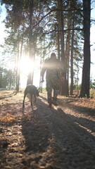 A man in military camouflage uniform walks through a pine forest with his Doberman dog. Soldier in summer