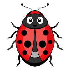 ladybug vector illustration
