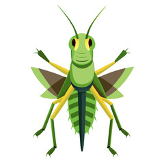 green grasshopper isolated on white