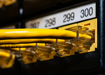 Close-up of yellow Ethernet cables plugged into a numbered patch panel. Modern IT infrastructure and data center connectivity concept with clear focus on network hardware.
