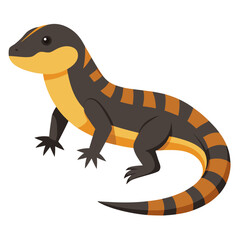 lizard on white background