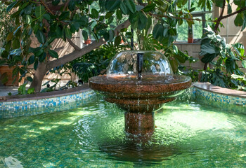 Water fountain inside the greenhouse. A calming embrace of nature in your home