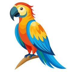 blue and yellow macaw