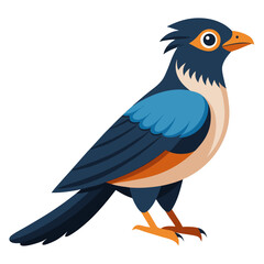 vector illustration of a bird