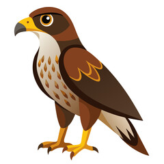 eagle cartoon isolated on white