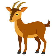 deer vector illustration