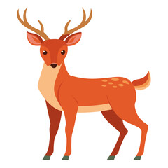 deer vector illustration