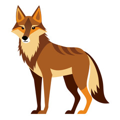 red fox vector illustration