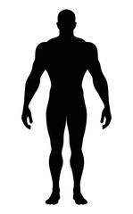 Bodybuilder silhouette muscular man fitness training gym workout strong male figure shape full