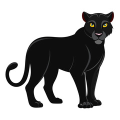black cat vector illustration