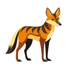 red fox isolated on white