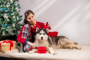 Young woman and husky dog in festive reindeer antlers near Christmas tree.