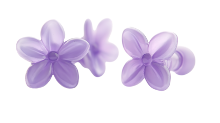 purple flower isolated on white
