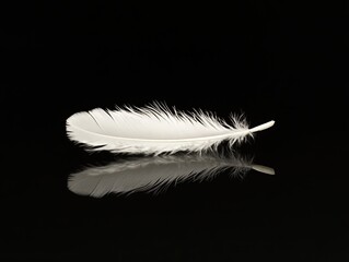 Obraz premium A single white feather on a dark reflective surface