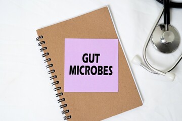 Gut Microbes writing concept on sticky notes isolated on white background. medical concept. 
