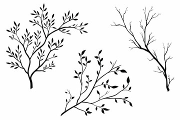 Simple Black and White Branches and Leaves Silhouettes