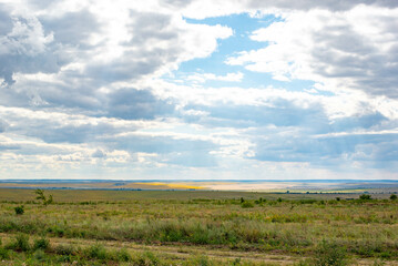 Obraz premium fields sown with wheat and corn in summer and the sky