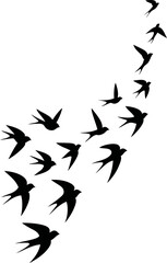 Flock Birds SVG Cut Files for Cricut & Silhouette
