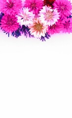 White flowers on a light green background. Delicate floral arrangement on a white background with space for text.