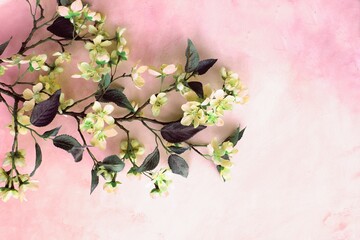 A branch of pink sakura on a light pink background. A spring flower arrangement with a place for...