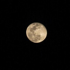 The moon
