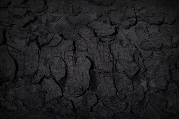 Texture of black tree bark, trunk, coal background. Dark wallpaper with rough cracked texture. Wooden wall concept, smoking wood plank backdrop. Abstract surface mockup. Top view, close up, copy space