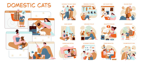 Domestic Cats Care Scene in Vector Illustration