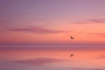 aerial view of serene ocean surface at sunset featuring solitary seagull gliding gracefully