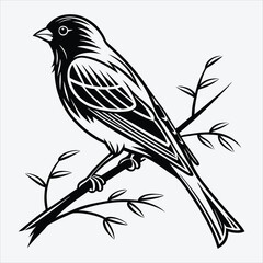Fototapeta premium Blue Jay line art White background illustration Generative Ai