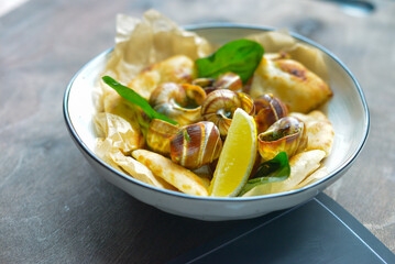 snails and lemon lie in a plate. High quality photo