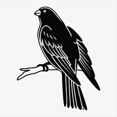 Obraz premium Blue Jay line art White background illustration Generative Ai