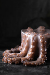 raw octopus